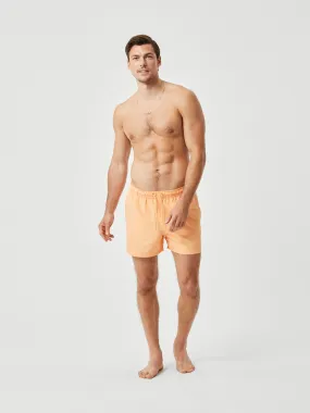 Borg Solid Swim Shorts