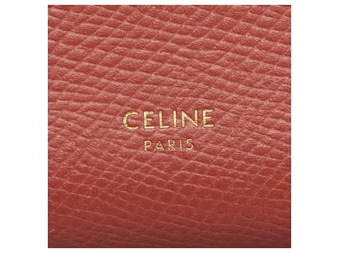 Céline Cartera grande con correa Celine en bicolor rosa y gris Castaño 