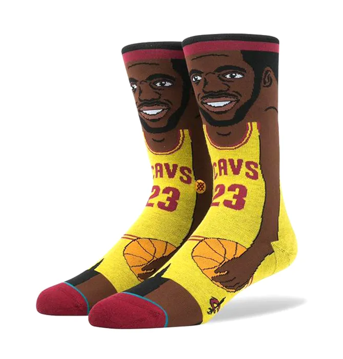 Stance NBA Future Legends L.James Socks