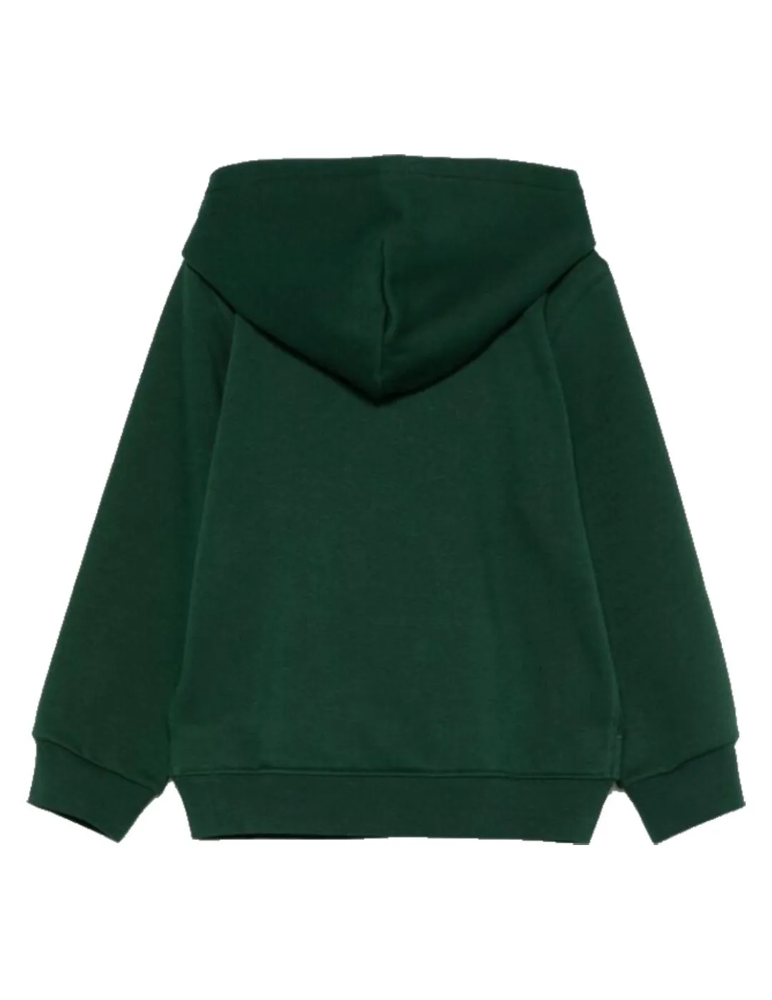 Sudadera Green Bear Polo Ralph Lauren