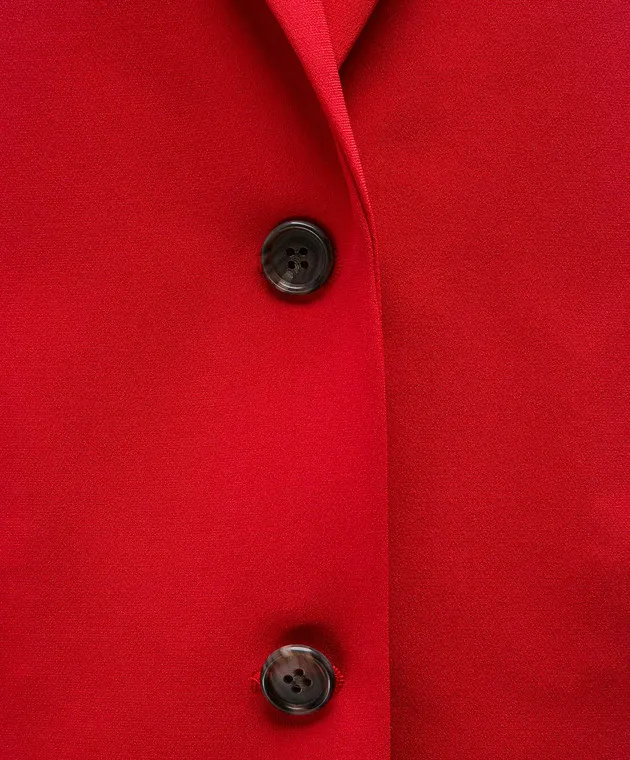 Theory Red jacket